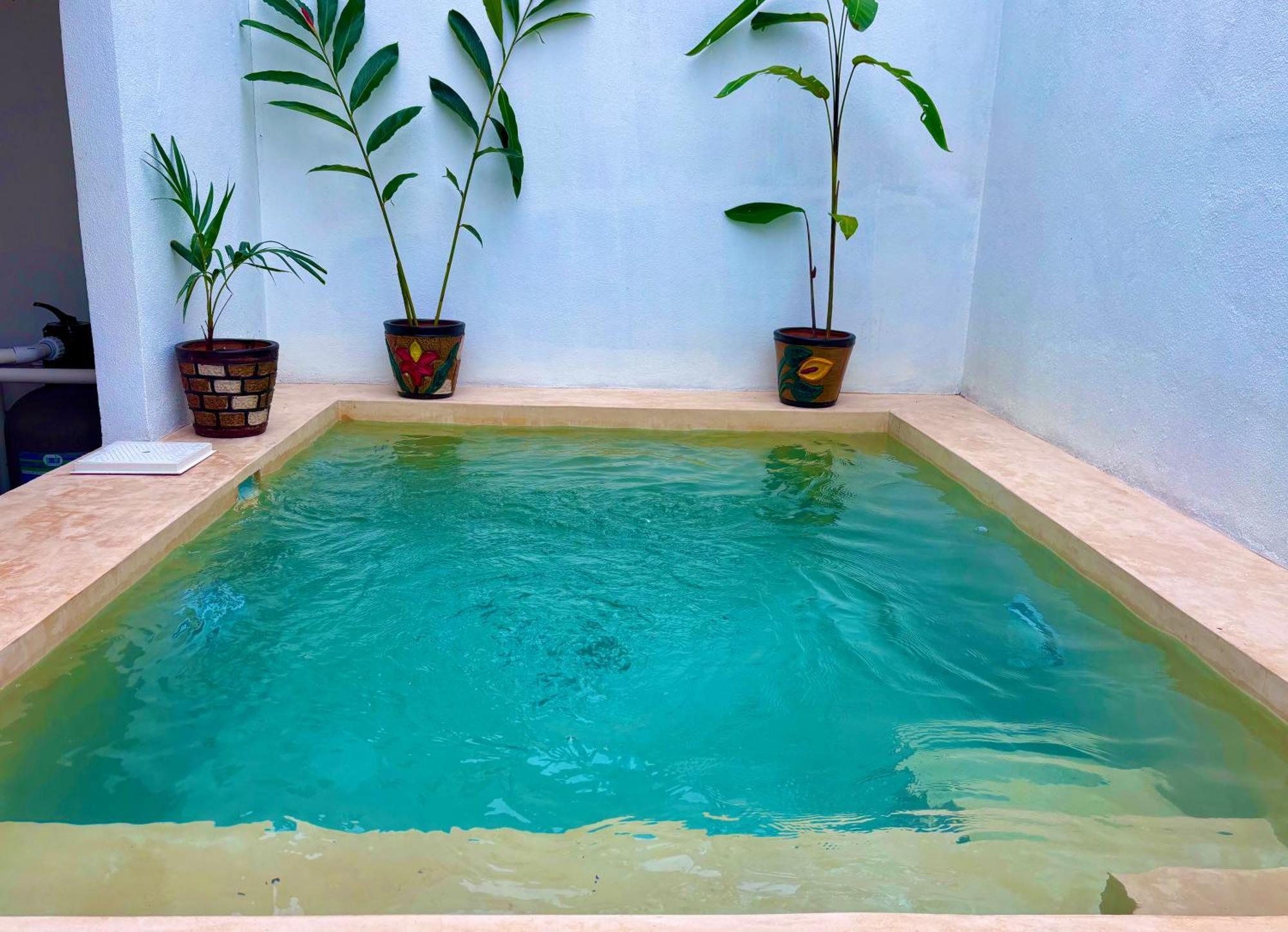 Villa Excelente Alberca Privada En Residencial Privado, Gym, Asador Ciudad Valles Esterno foto