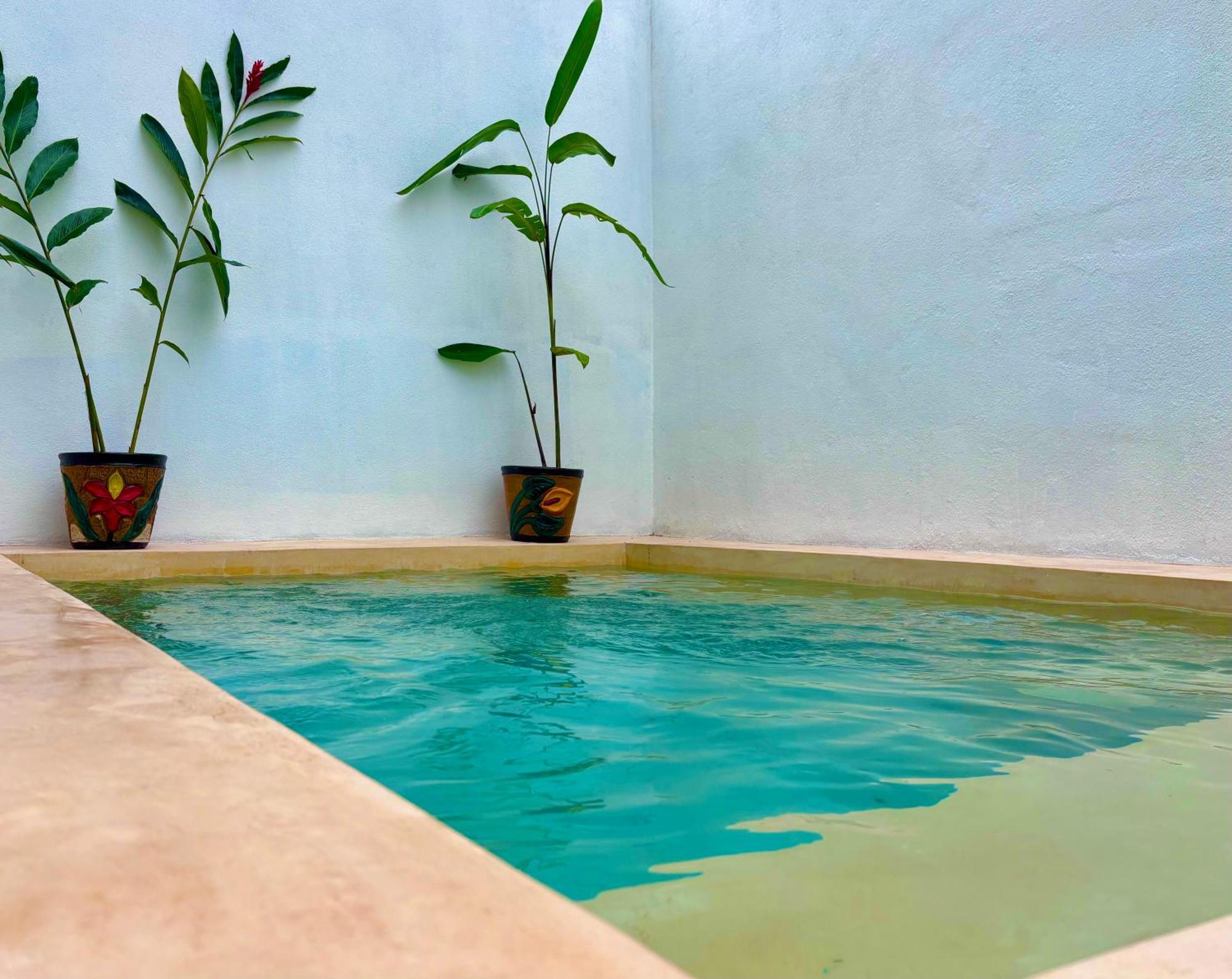 Villa Excelente Alberca Privada En Residencial Privado, Gym, Asador Ciudad Valles Esterno foto